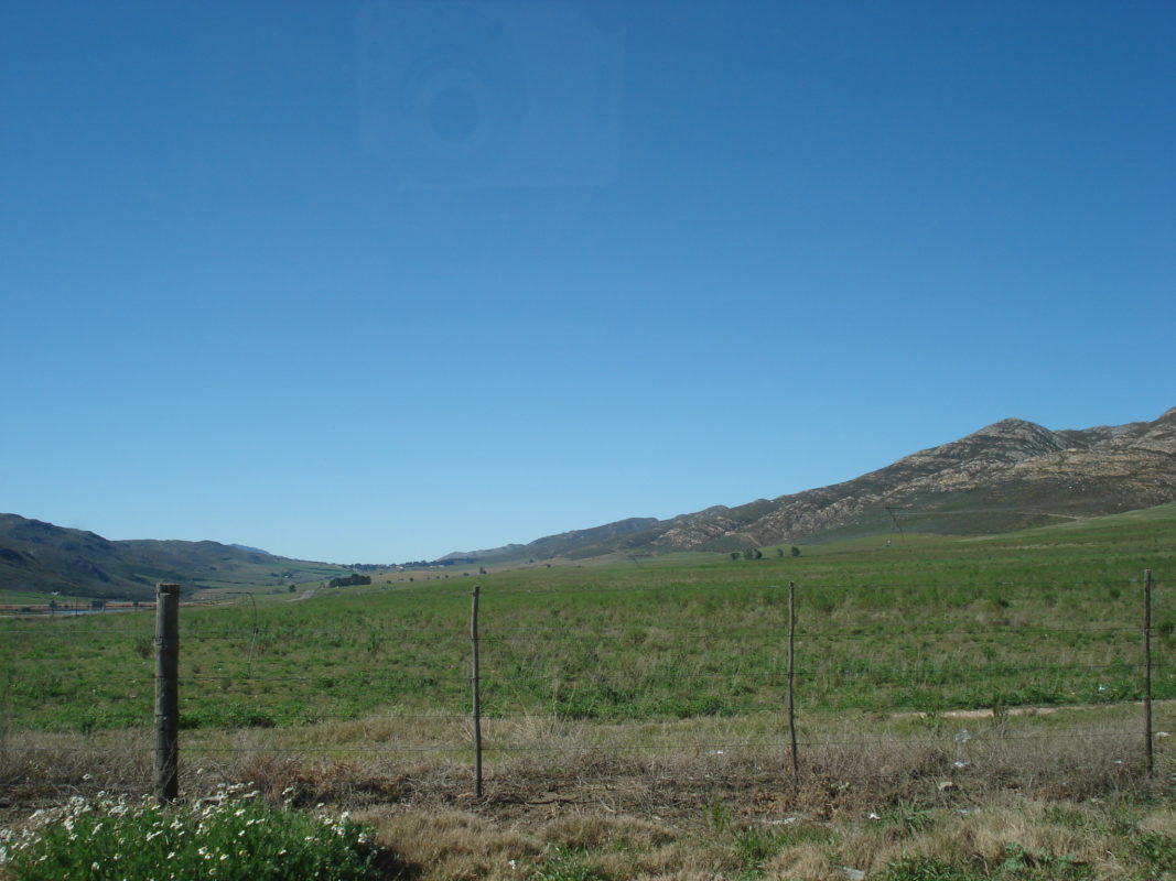 Agriculture in South Africa