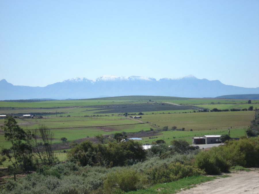 Route 62 – From Cape Town to Port Elizabeth – South Africa