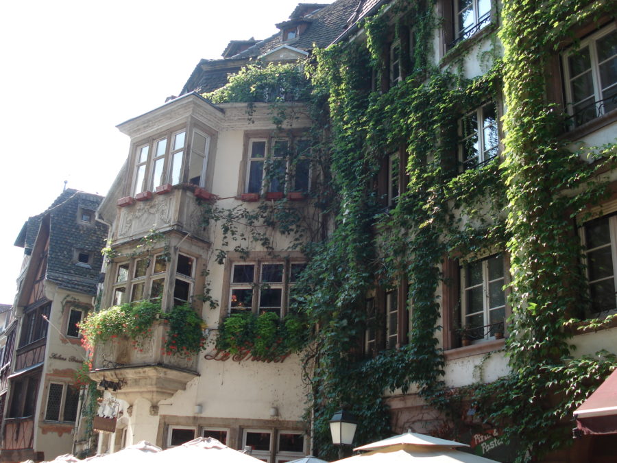 Green Alsace