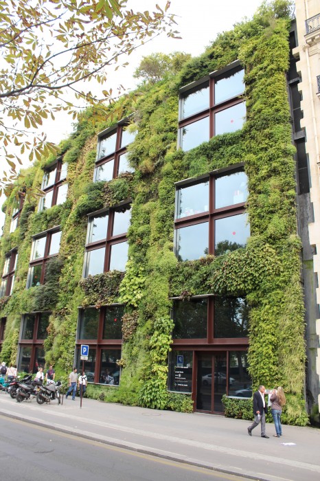 Grüne Fassade Musée du Quai Branly