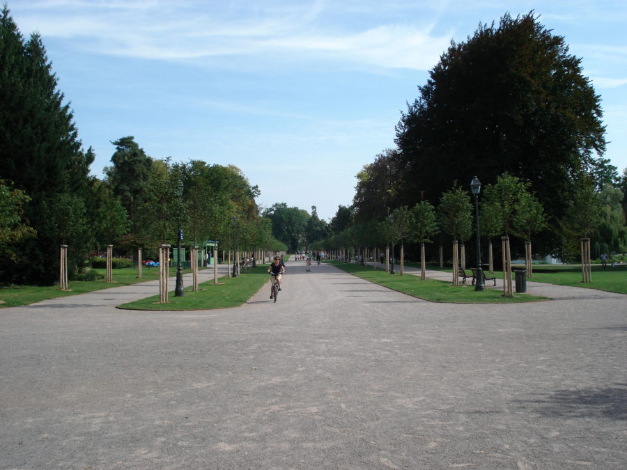 Bicycle tour through Strasbourg