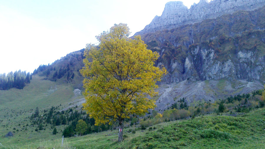 Indian Summer Flashback Switzerland