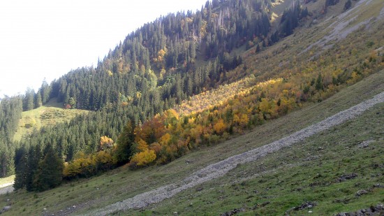 Indian Summer Berner Oberland