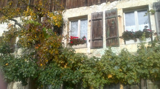 Fenster mit Blumen