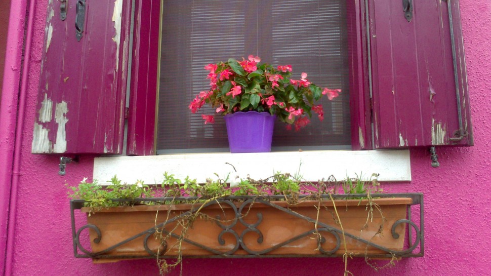 Farbiges Fenster mit Blume in Burano