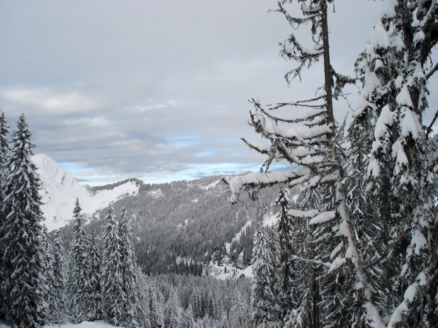 My winter on Instagram