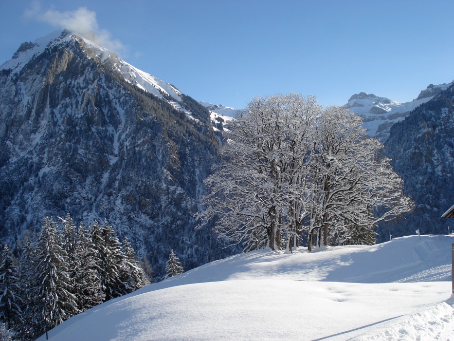 Winterlandschaft_Schweiz
