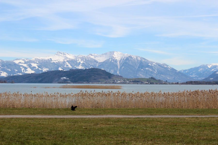 Free time between Rapperswil and Einsiedeln