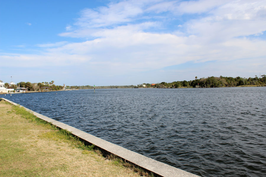An afternoon in Crystal River
