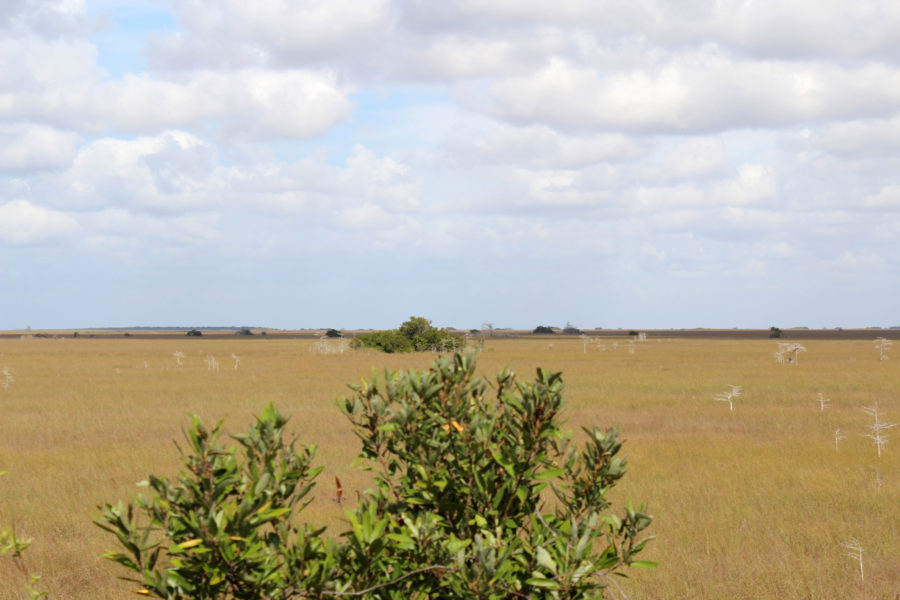 Travel Snapshot – Best of Florida