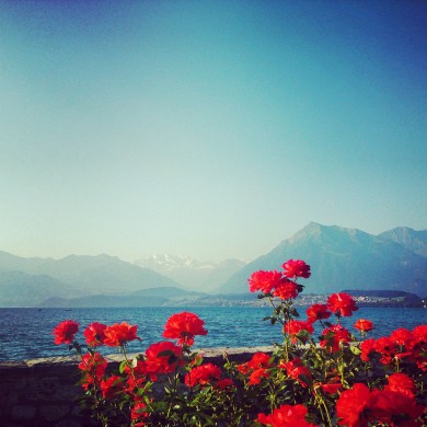 Instagram_Thunersee