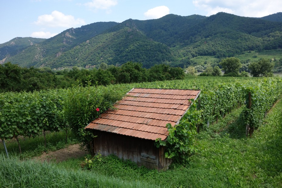 Wachau