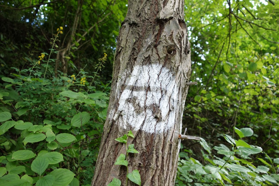 Wachau_Unesco_Wanderweg