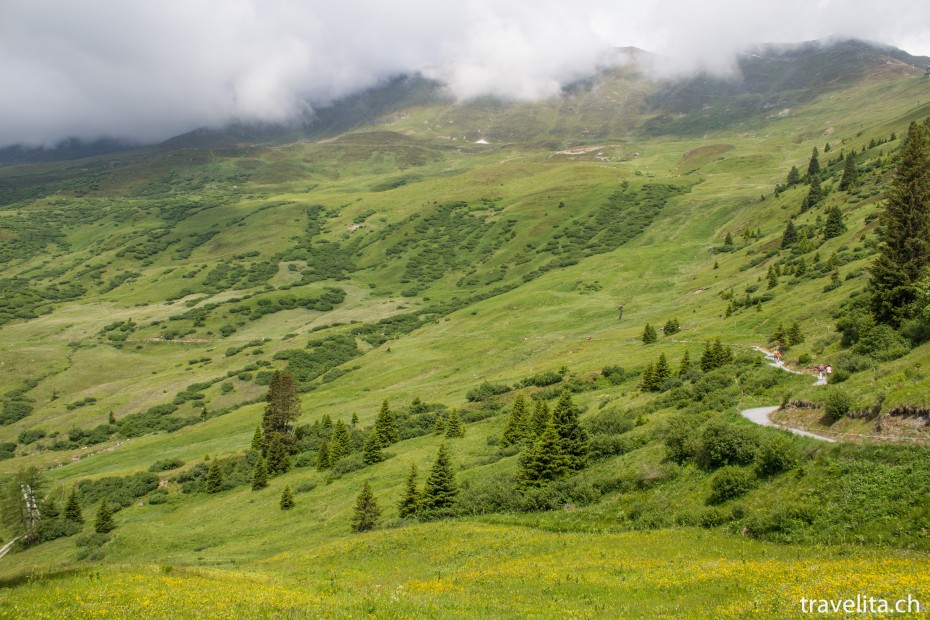 Pleasure hiking in Serfaus