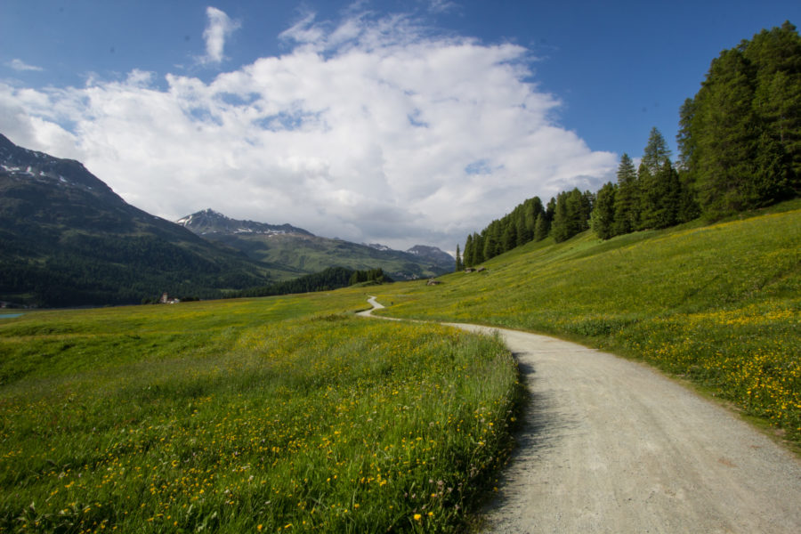 Travelita’s autumn – golden prospects