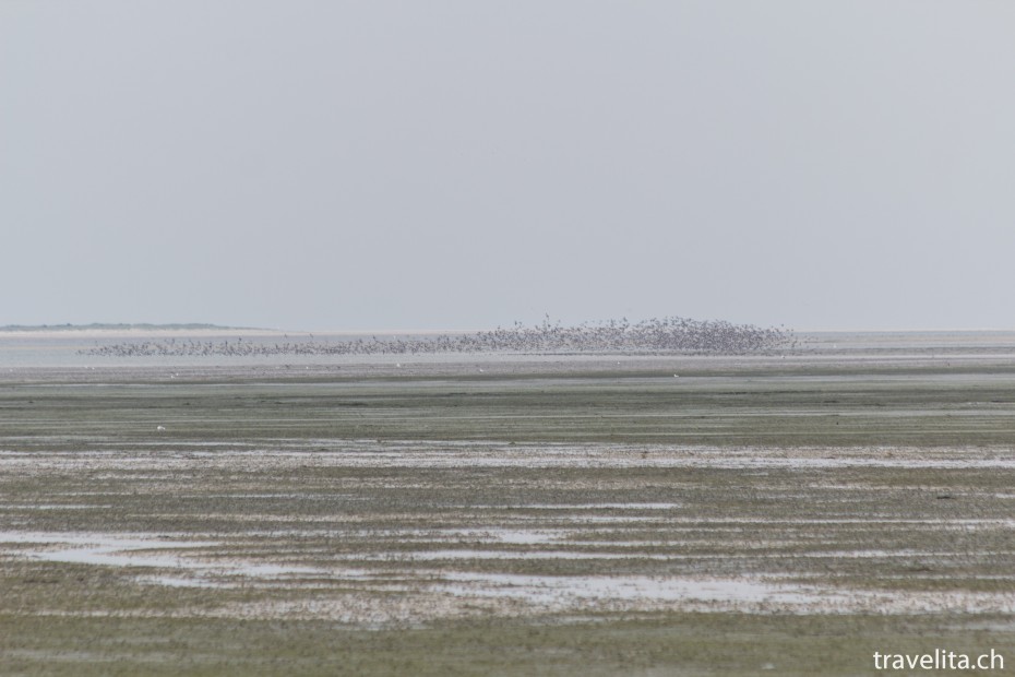 Hallig_Hooge_Wattmeer