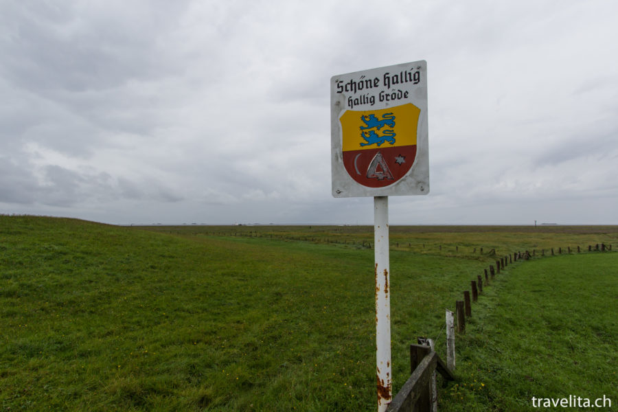 Hallig hopping – on the go in the North Sea