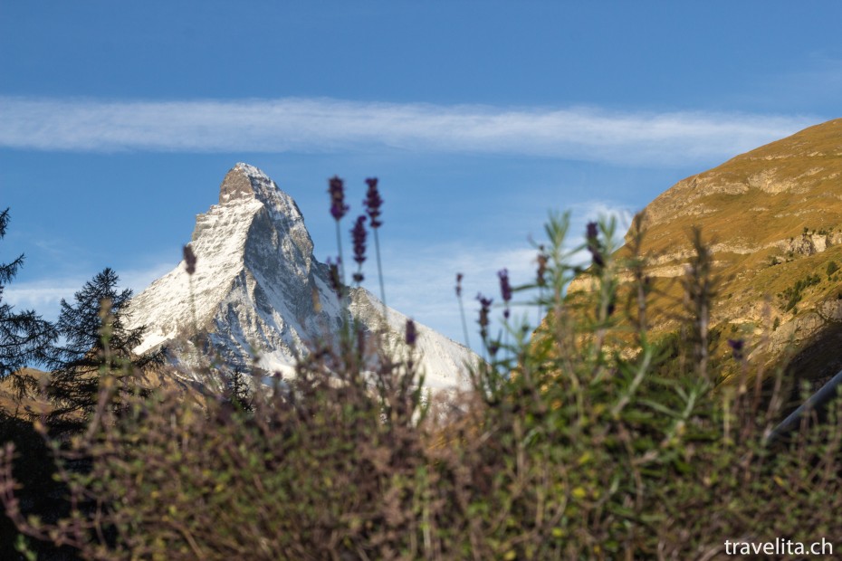 Sicht auf das Matterhorn