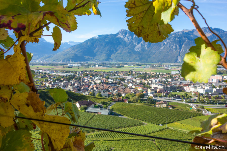 Grape harvest in Aigle – one of a thousand adventures in Vaud