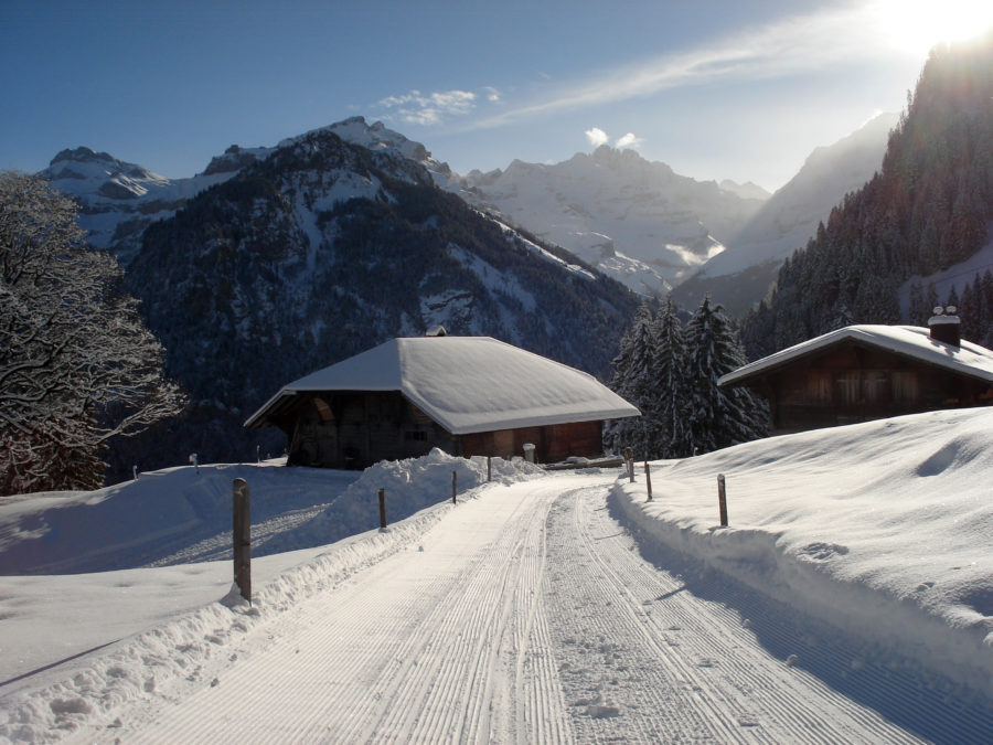 Hurray, winter is here!