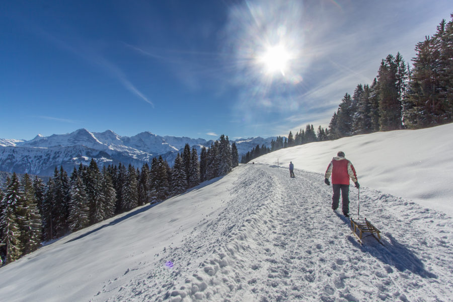 Niederhorn – toboggan hiking with a panorama