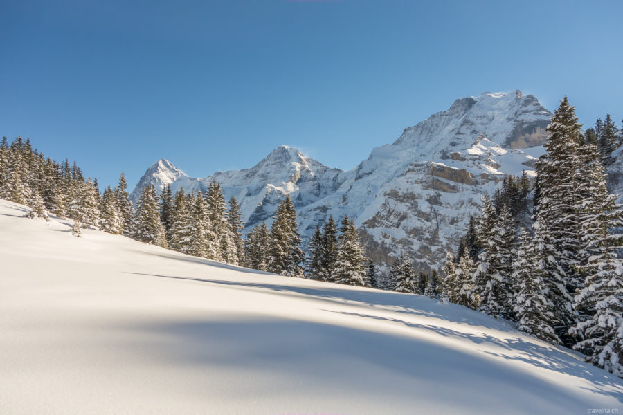 Mürren – snowshoe tour in the Bernese Oberland