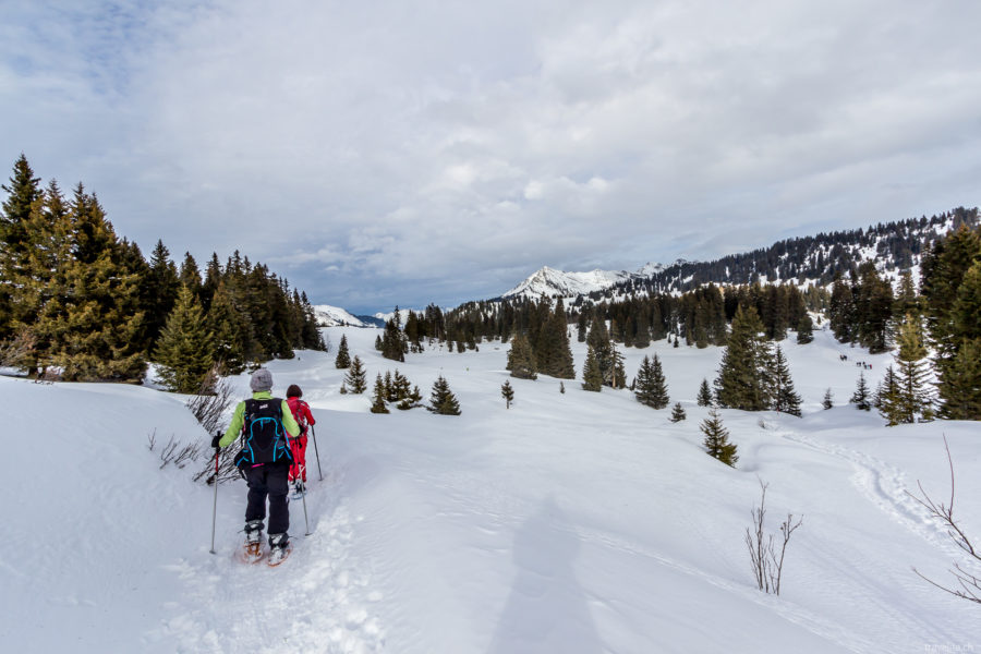 Snowshoe tour in the Vaud Alps