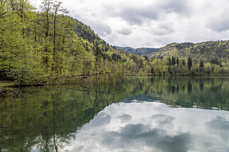 Frühling am Bleder See in Slowenien