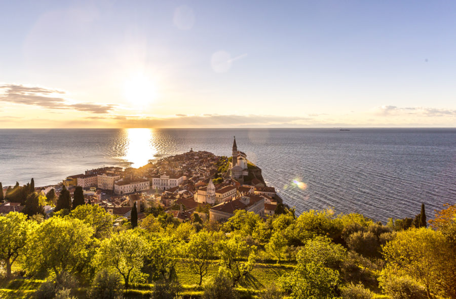 Oh Piran – let me hug you