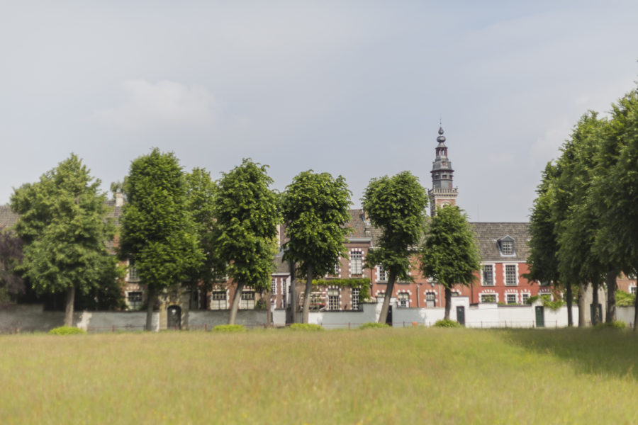 Ghent in the Sunday Groove