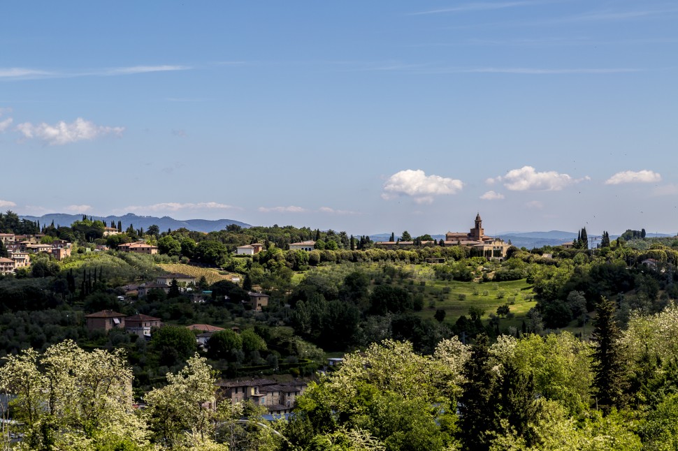 Siena View