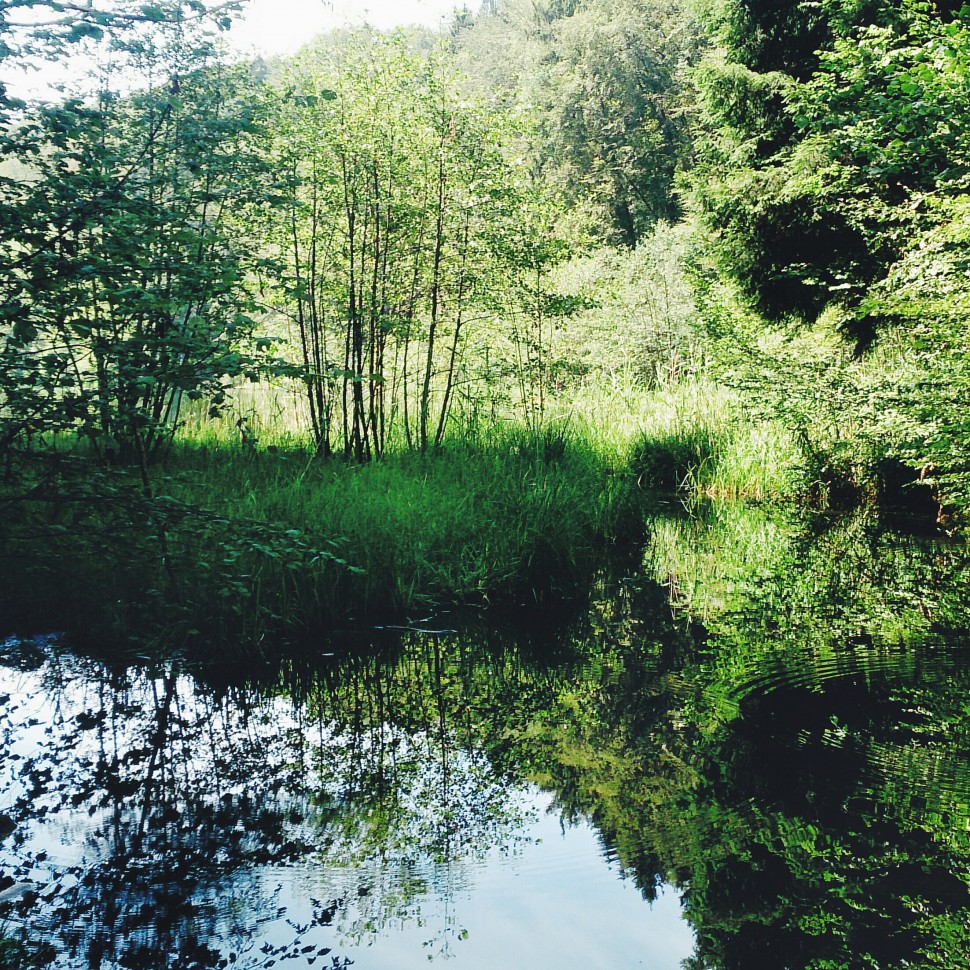 Naturschutzgebiet-Egelsee