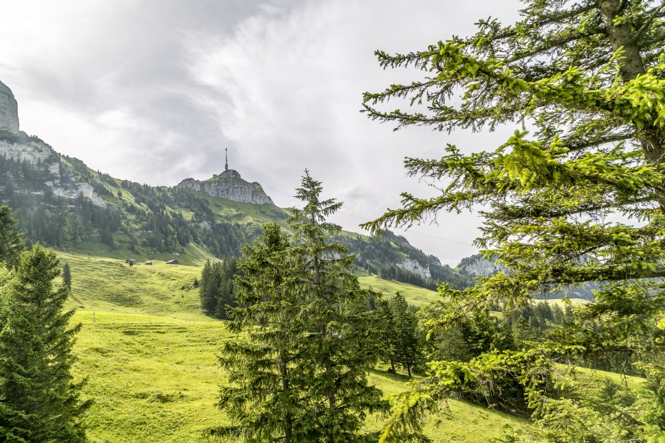 appenzell-alpstein-1