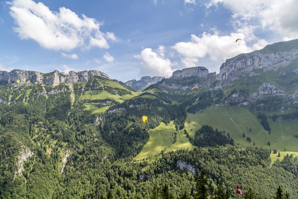 appenzell-alpstein-Natur