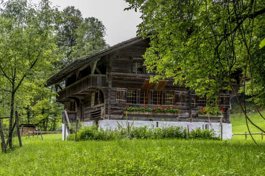 Ballenberg – out despite the rain