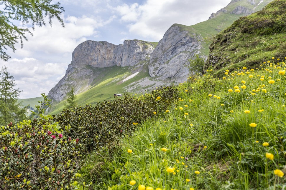 gstaad-Natur