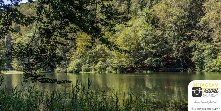 Egelsee – hike in Aargau near Bergdietikon