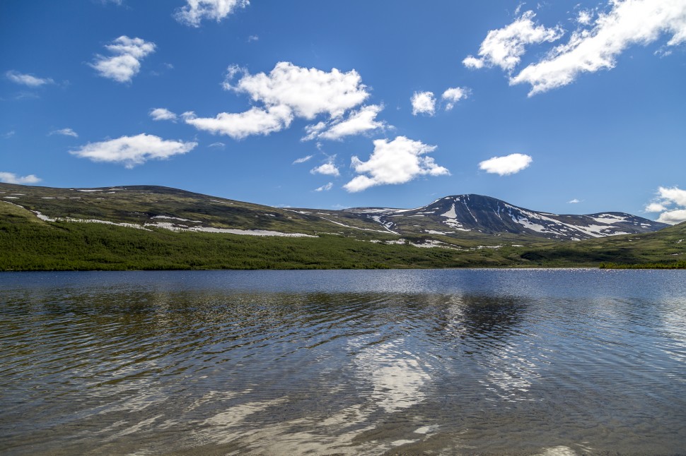 dovrefjell-national park