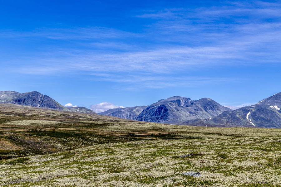 Mini road trip through central Norway