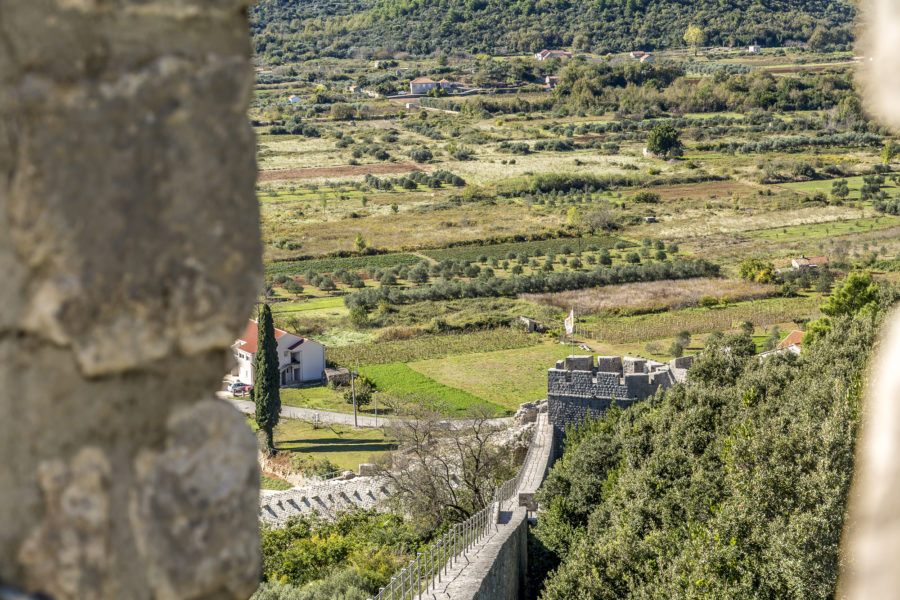 Ston – small town with big advantages