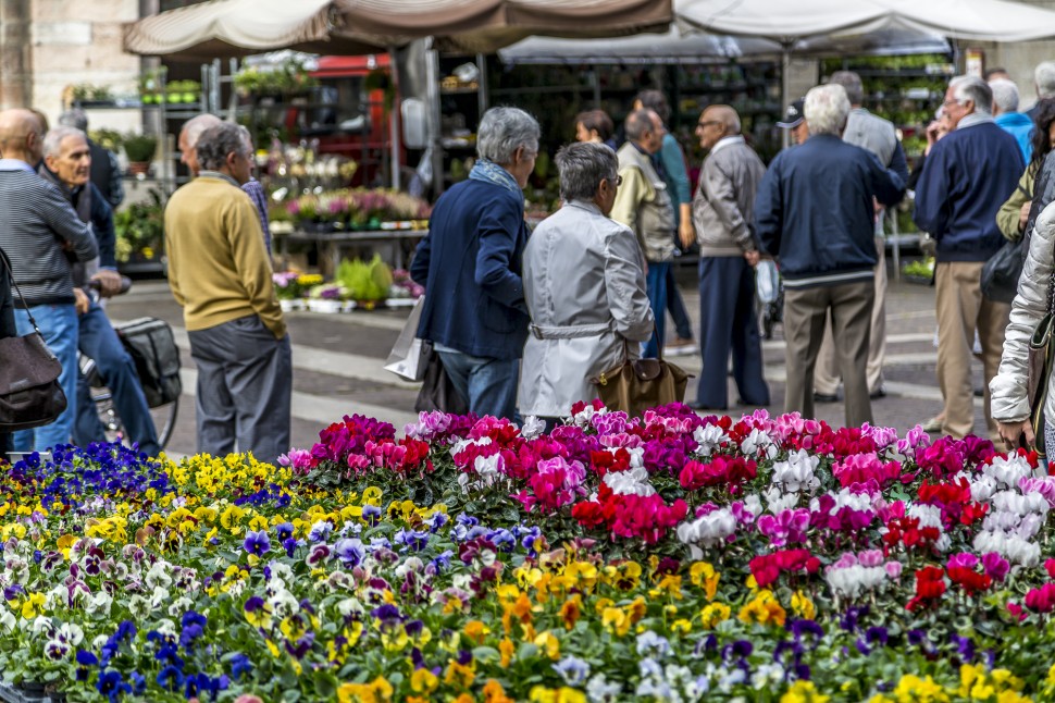 cremona-Blumenmarkt