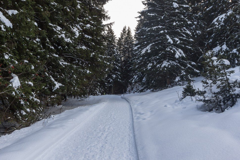 Winter hiking