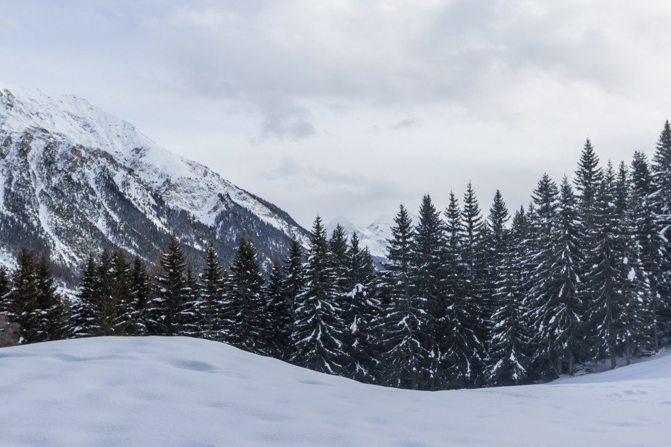 lenzerheide-winterzauber