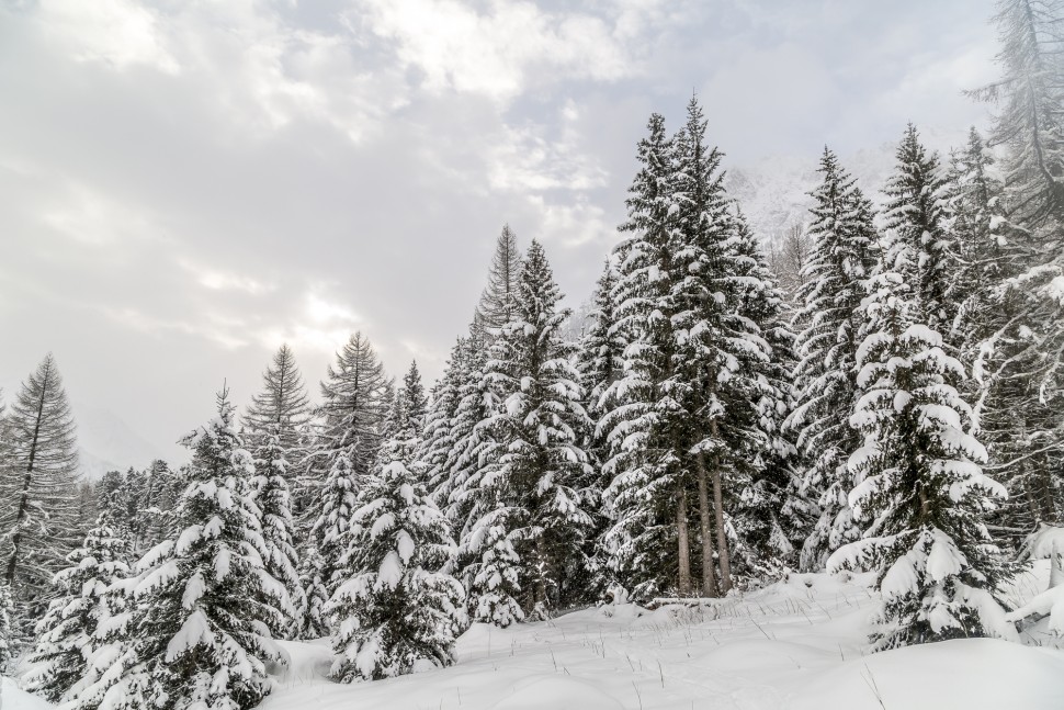 Chamonix-Winter