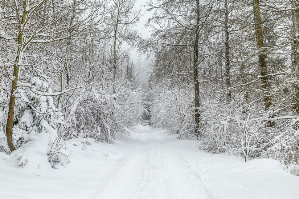 Winter Landscape-Zurich