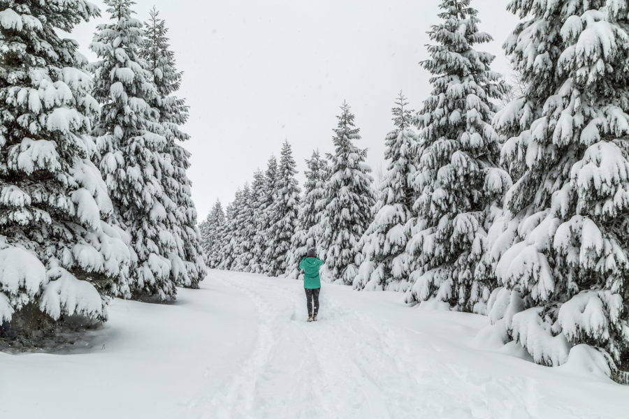 Winter hike on the Uetliberg in Zurich