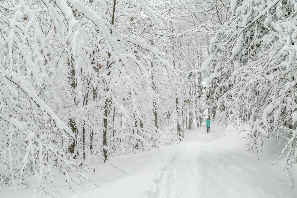 Zürich-Uetliberg-Schnee