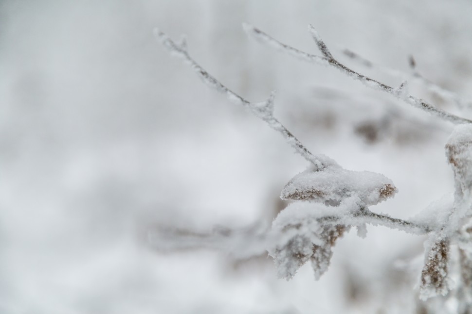 uetliberg_schnee-1