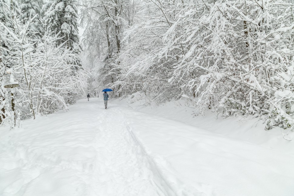 uetliberg_schnee-20