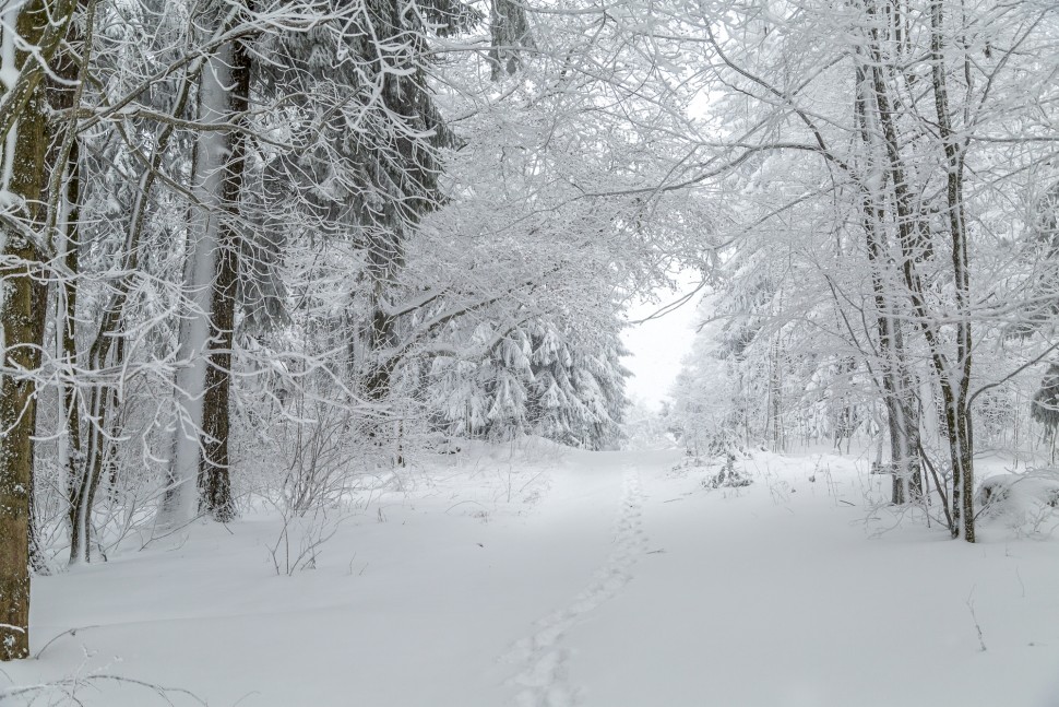 uetliberg_schnee-4